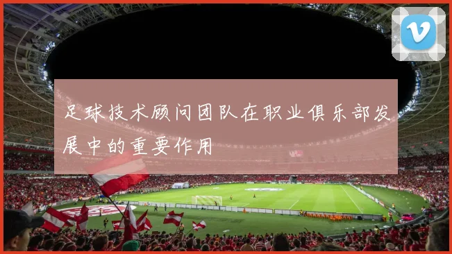 足球技术顾问团队在职业俱乐部发展中的重要作用