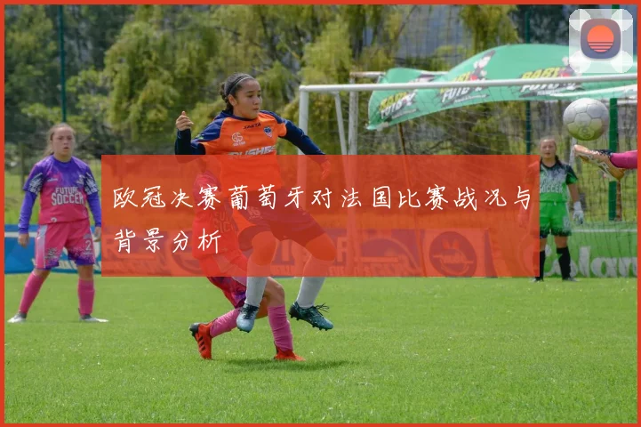 欧冠决赛葡萄牙对法国比赛战况与背景分析
