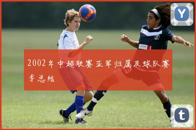 2002年中超联赛亚军归属及球队赛季总结