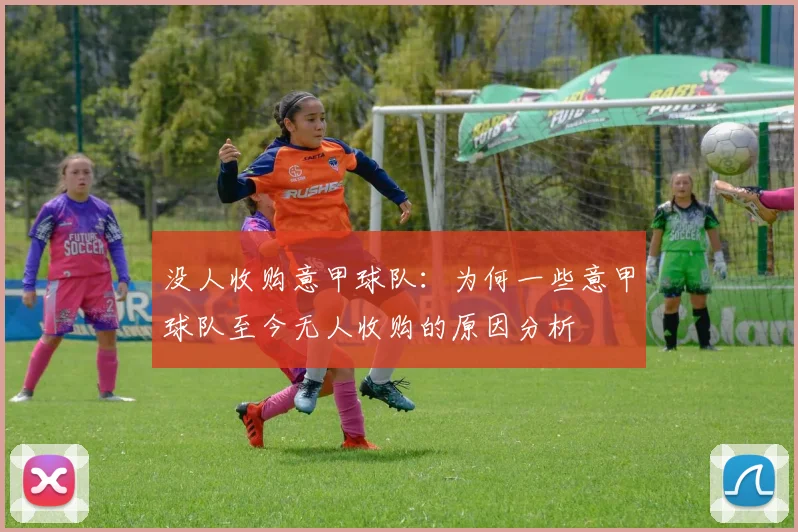 没人收购意甲球队：为何一些意甲球队至今无人收购的原因分析