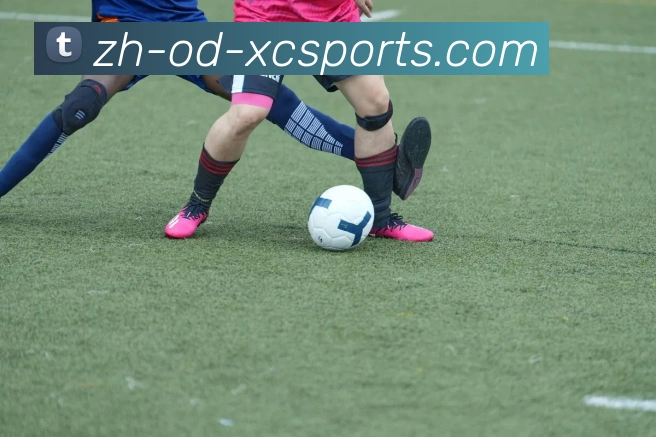 杏彩体育平台生态图