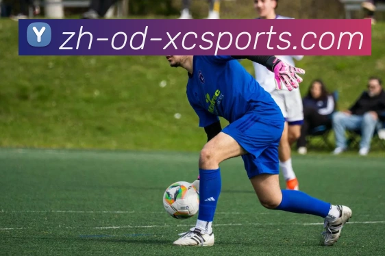 杏彩体育APP 封面图